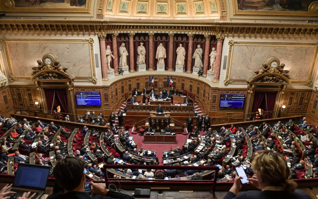 Proposition de loi contre le narcotrafic : encore une bataille remportée par Crim&rsquo;HALT !